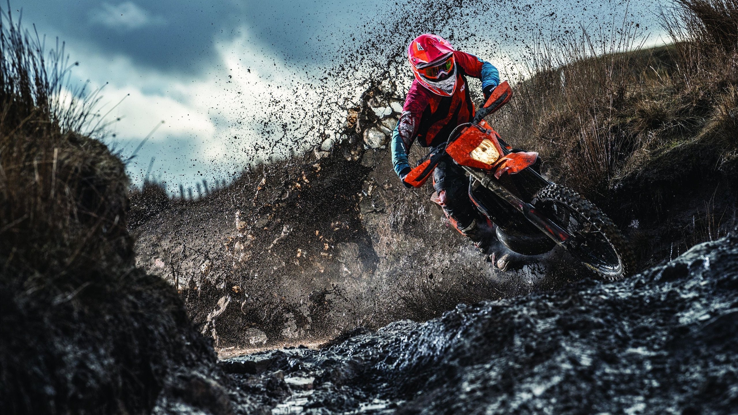 勇士队豪取16连胜,联盟领头羊无敌,勇士队的